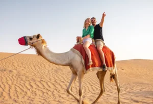 About Us – Dubai Desert Safari & City Tour